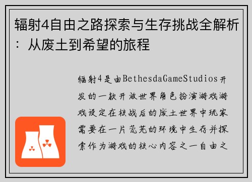 辐射4自由之路探索与生存挑战全解析：从废土到希望的旅程